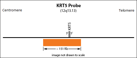 KRT5 FISH Probe Ideogram
