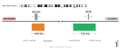 6Q21/MYB FISH Probe