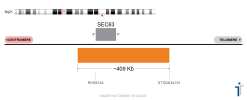 6Q21 FISH Probe