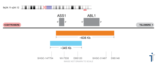 BCR/ABL1/ASS1 FISH Probe