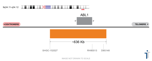 ABL1 FISH Probe