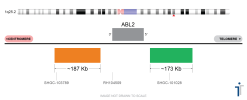 ABL2 Break Apart FISH Probe