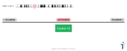 Chromosome 10 Control FISH Probe