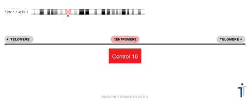 CON4/CON10/CON17 FISH Probe