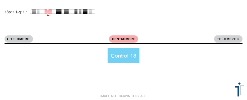 Chromosome 18 Control CISH Probe