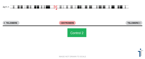 Chromosome 02 Control FISH Probe