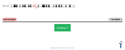 Chromosome 07 Control FISH Probe