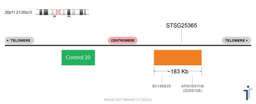 DEL20Q/20P FISH Probe