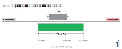 BDot ETV6/RUNX1 FISH Probe
