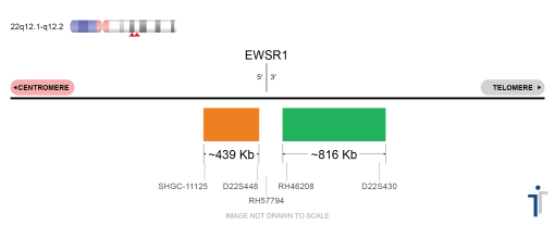 EWSR1 Break Apart FISH Probe