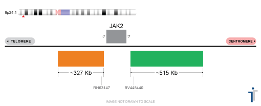 JAK2 Break Apart FISH Probe