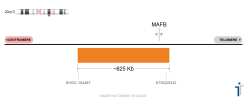 Alternative view of IGH/MAFB SPLIT Extended FISH Probe