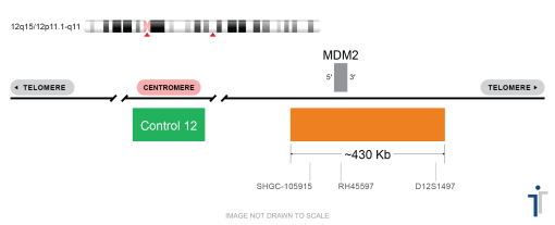 MDM2/CON12 OG