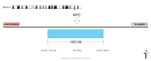 MYC Extended FISH Probe