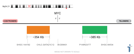 MYC Break Apart FISH Probe