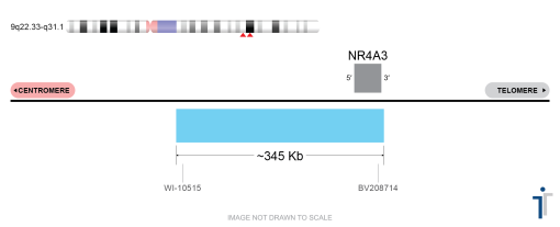 SMAD6/NR4A3/5P15 FISH Probe