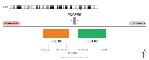 PDGFRB Break Apart FISH Probe