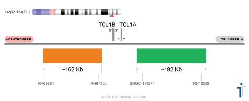 TCL1A Break Apart FISH Probe