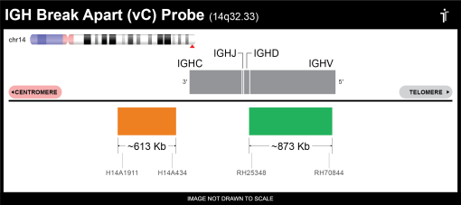 BDot IGH Break Apart VC FISH Probe