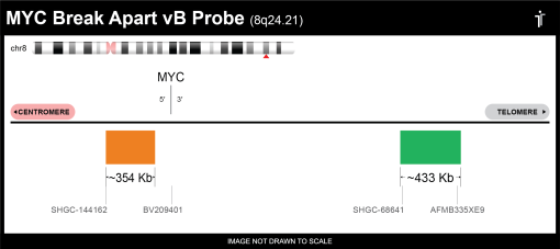 BDot MYC Break Apart VB FISH Probe