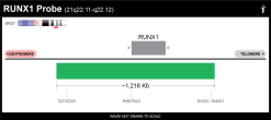 Alternative view of BDot RUNX1T1/RUNX1 Extended FISH Probe