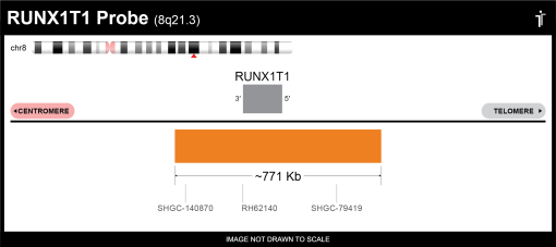 BDot RUNX1T1/RUNX1 Extended FISH Probe