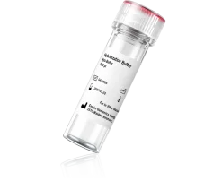 Hybridization Buffer