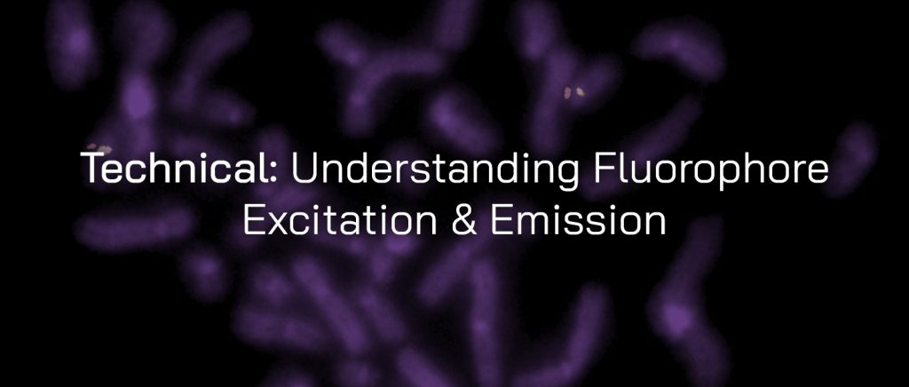 Technical: Understanding fluorophore excitation & emission
